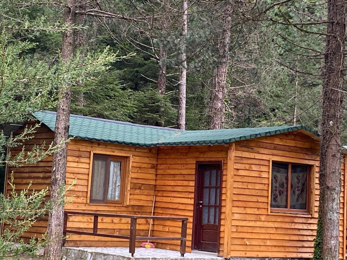 Bujtina Uji I Panjes, Log Cabins Dukat 외부 사진